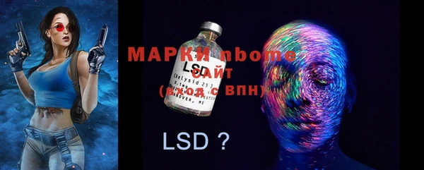 мдпв Володарск