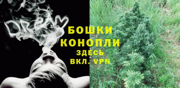 мдпв Володарск