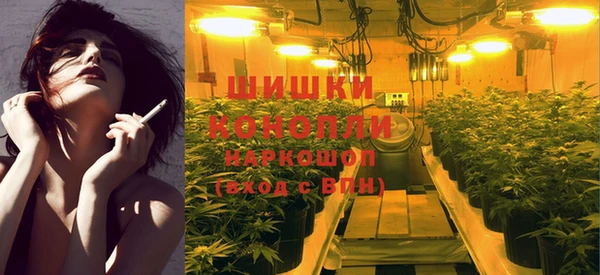 спиды Волосово