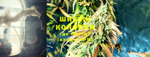 мдпв Володарск